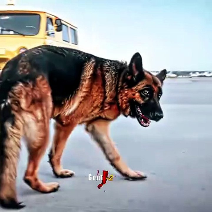 Dr o you see this movie ?