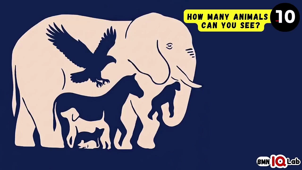 #DoNotScroll 😒 How Many Animals Can You See? (Part 2) 🐾