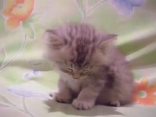 Quand Le sommeil est là