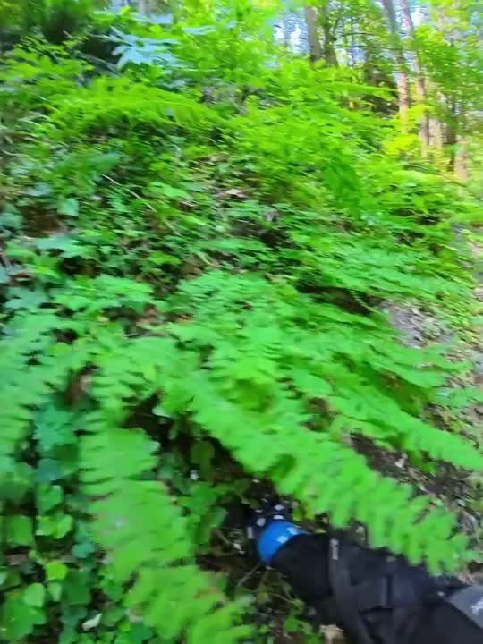 Woman Crashes Off Trail