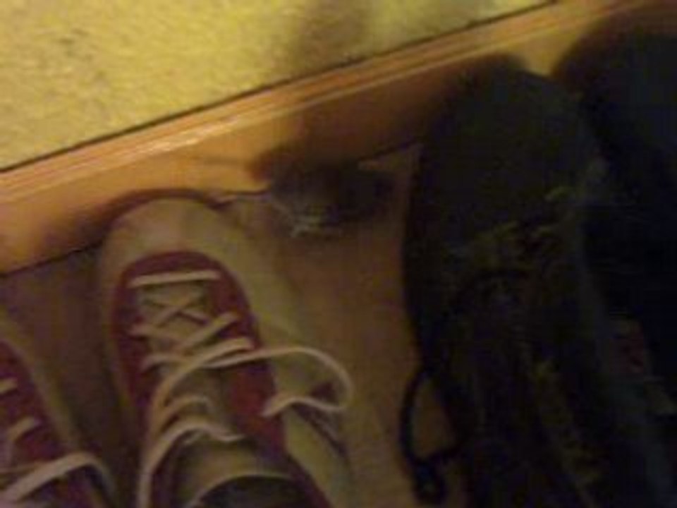 Pouic pouic et la souris 7 06 2005