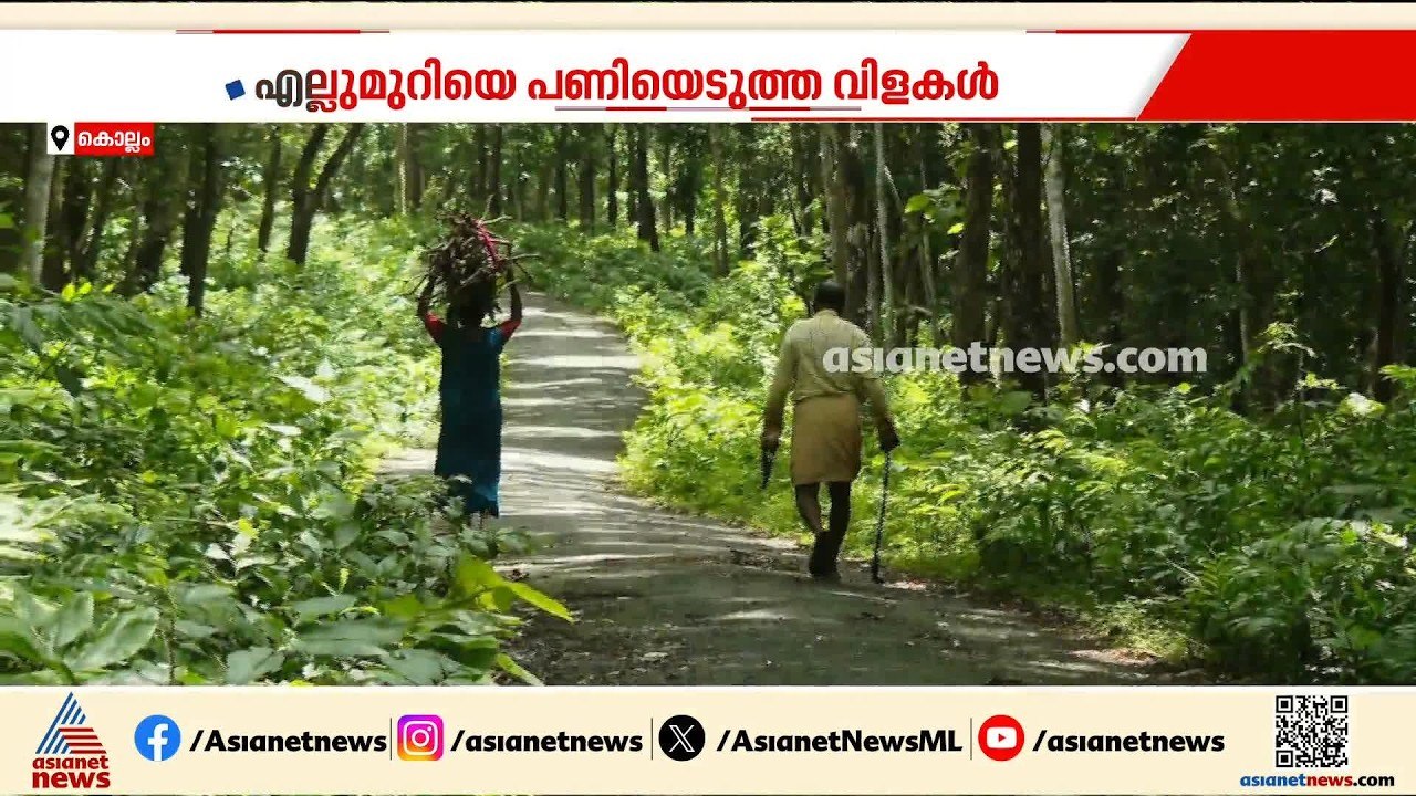 മനുഷ്യനിവിടെ ജീവിക്കാനാകില്ലെന്നേ...; പൊന്ന് വിളയിച്ച  മണ്ണ് ഉപേക്ഷിക്കാൻ നിർബന്ധിതരായവർ