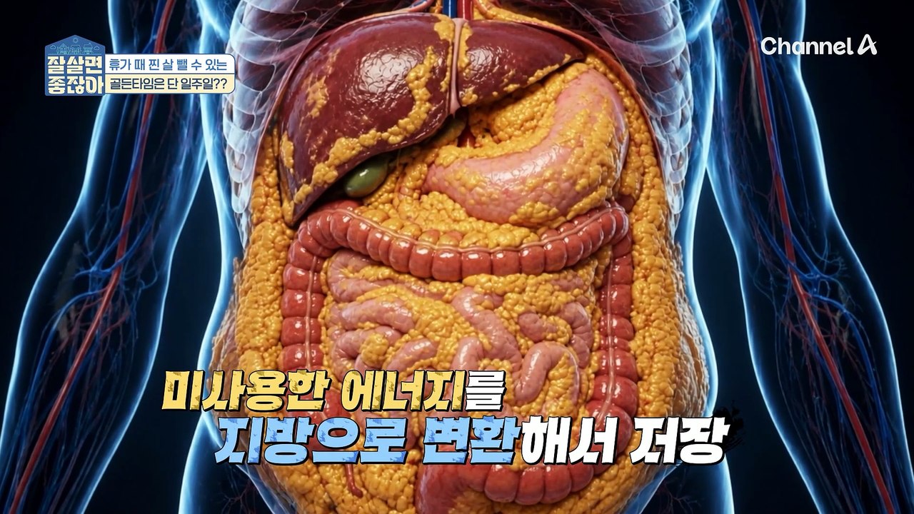 '물' 만 마시면 뱃살 삭제 가능? SNS 유행 다이어트 '물 단식'이 위험한 이유