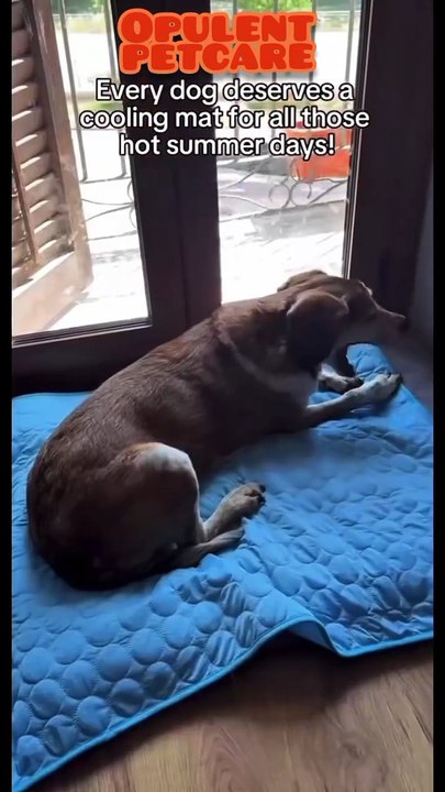 Dog Cooling Mat for Summer – Pet Cold Bed & Blanket