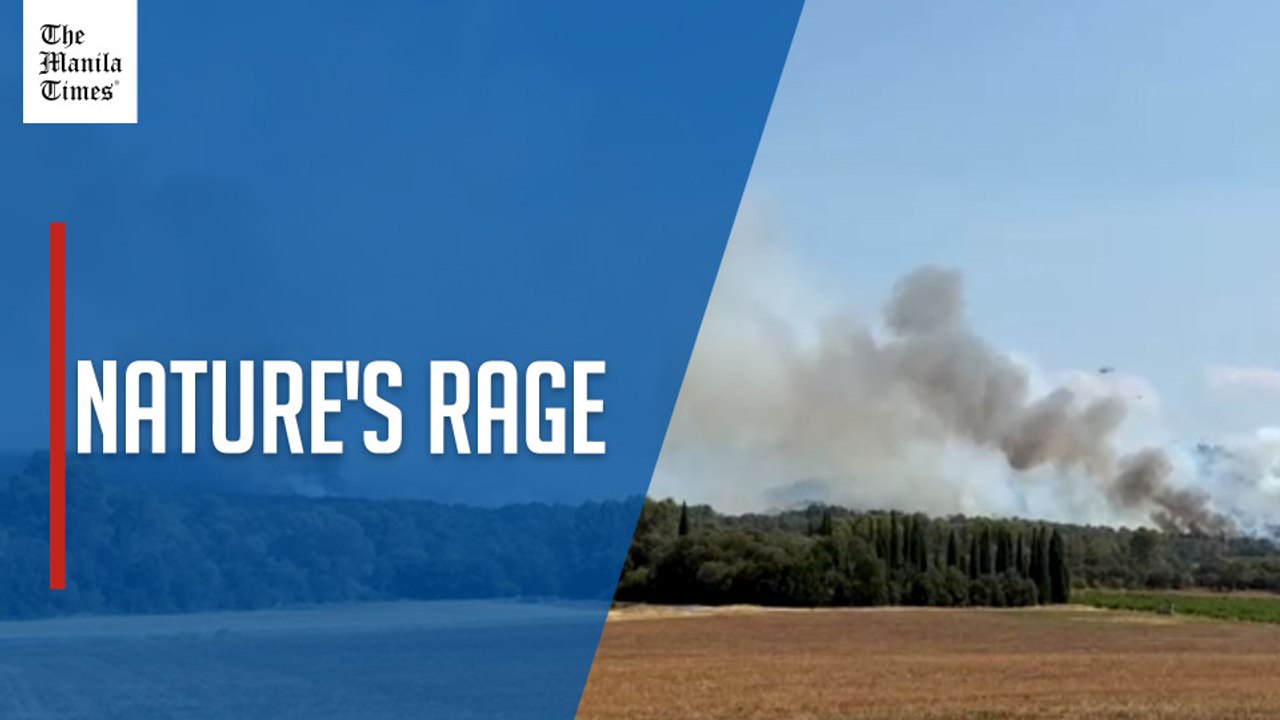 Wildfire races through 500 hectares of forest in southern France