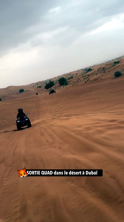 SORTIE QUAD dans le désert à Dubaï