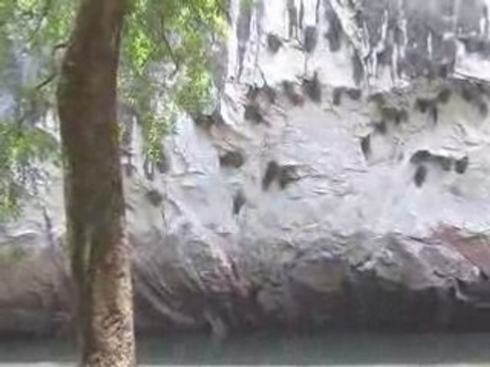 Chutes d'eau