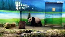 Asian Animals at Taipei Zoo