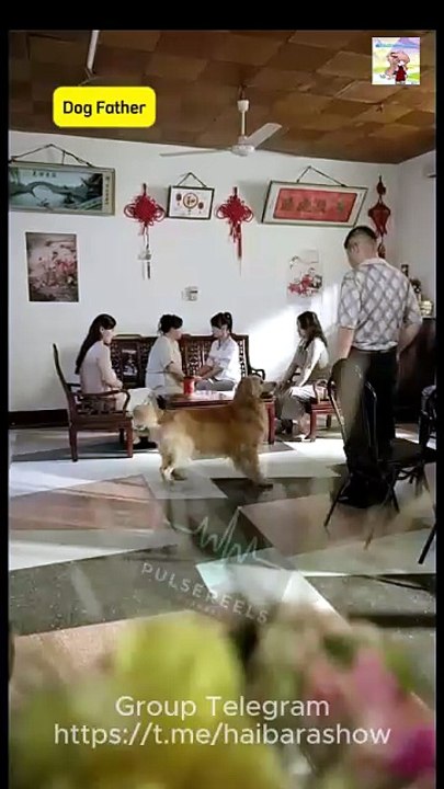 Dog Father [Full Movie]
