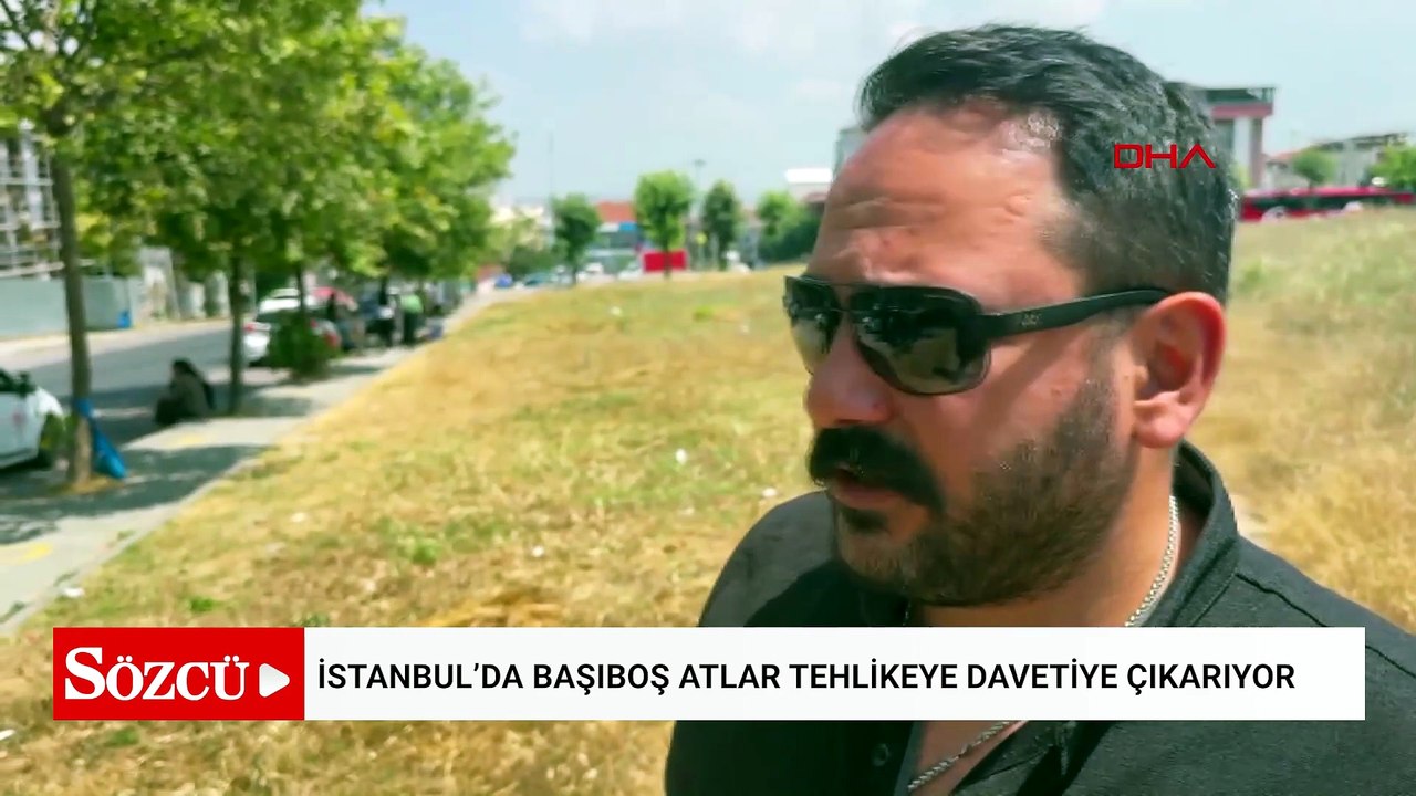 İstanbul’da başıboş atlar tehlikeye davetiye çıkarıyor