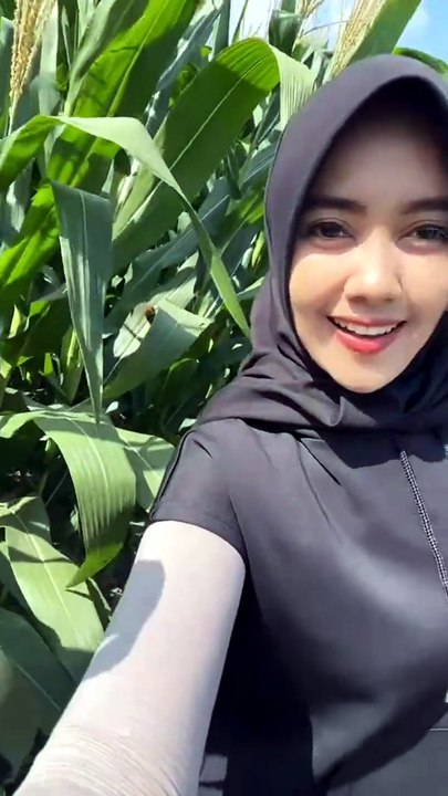 A trip to the cornfield