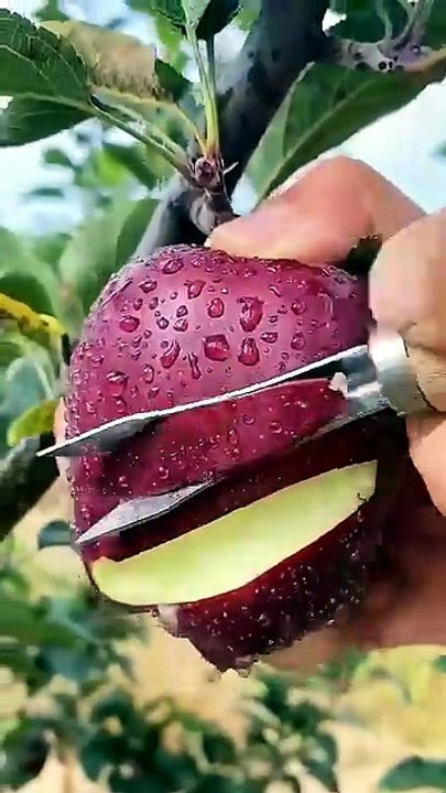 Can You Believe This Grows Naturally? 🍓🌿