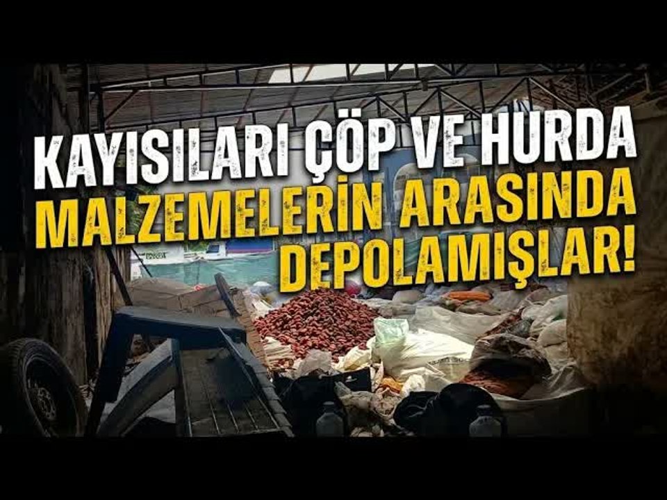 Halk sağlığını tehdit eden ruhsatsız kayısı deposuna mühür