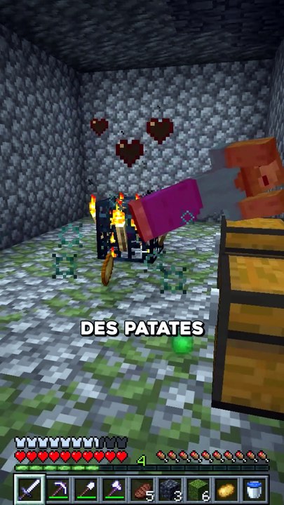 Qui savait tout ? 🤯