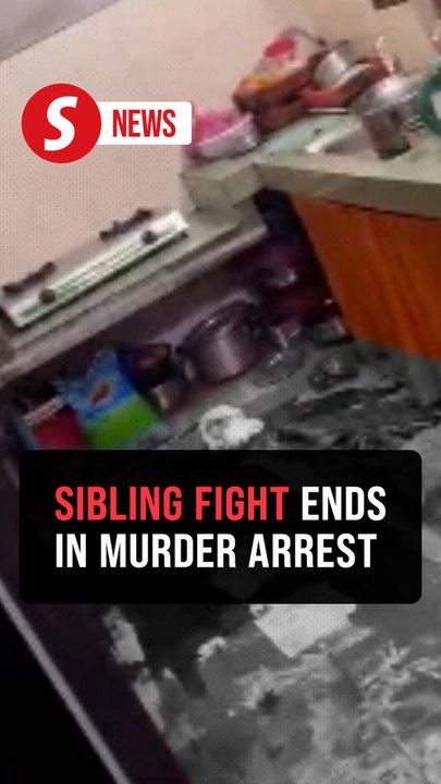Man, 26, nabbed for allegedly killing elder brother in Kuala Kubu Baru fight