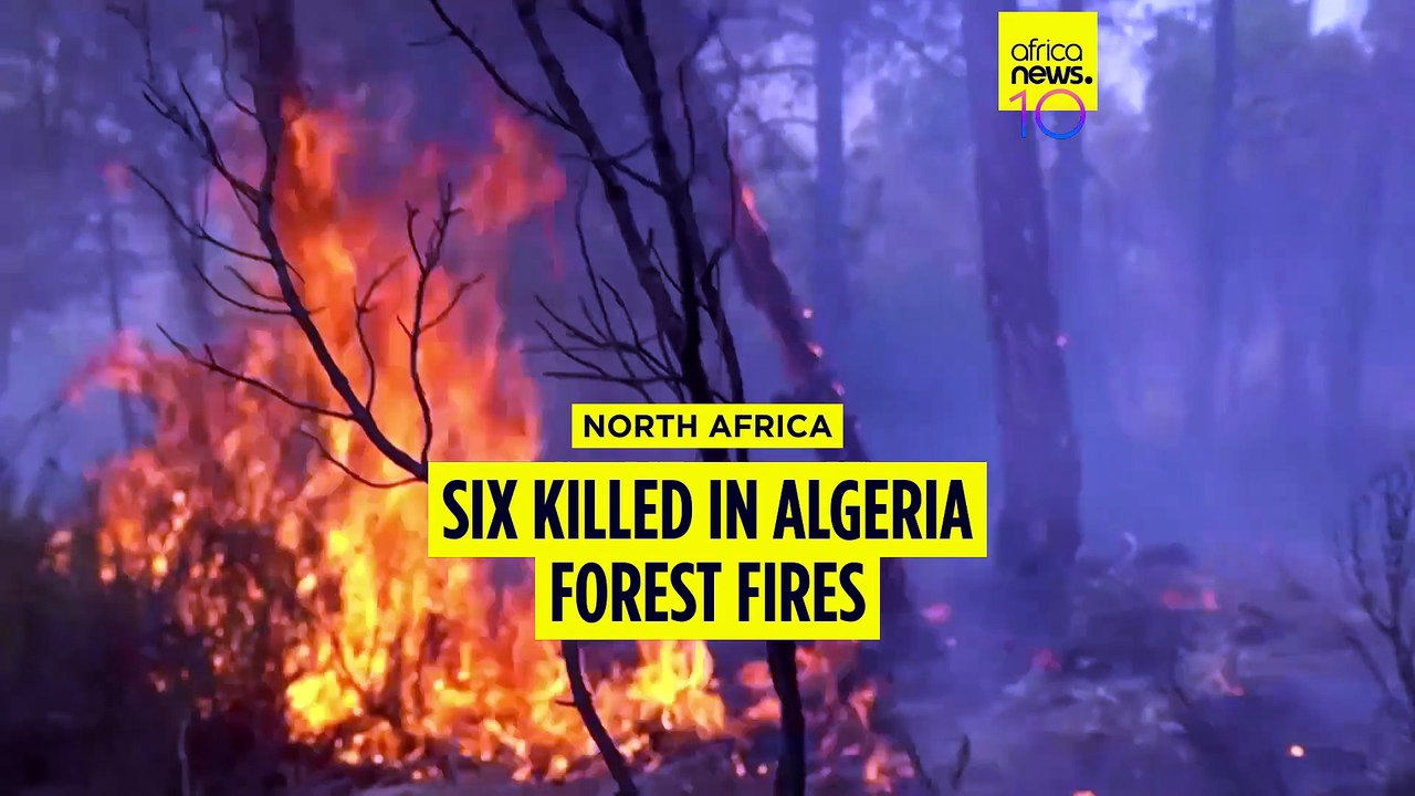 Six killed in Algeria forest fires: interior ministry