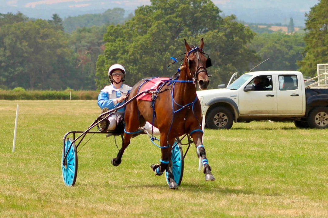 Gallery: Wales & Border Harness Racing at Ludlow