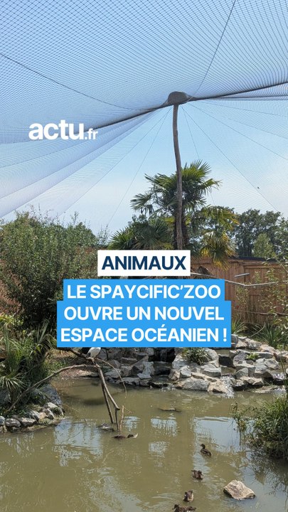 800 m² d'immersion totale en Océanie : découvrez la grande nouveauté de l’été dans ce zoo situé aux portes du Mans !