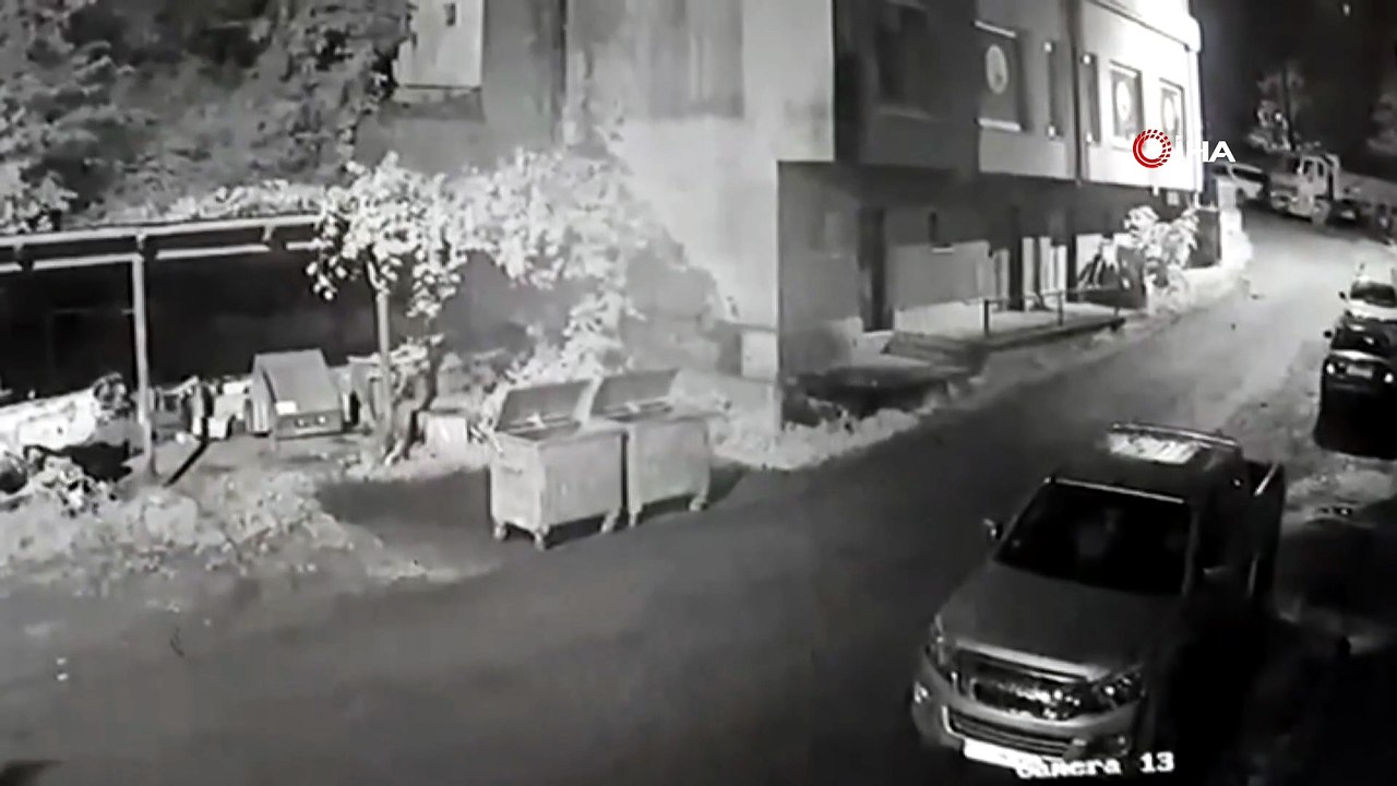 Çöp konteynerinin arkasından çıktı! Yavrularını koruyan ayı vatandaşı kovaladı