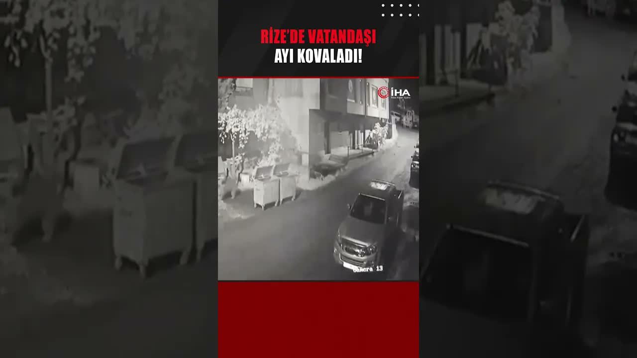 Rize’de yanında yavruları olan bir ayı vatandaşı kovaladı!