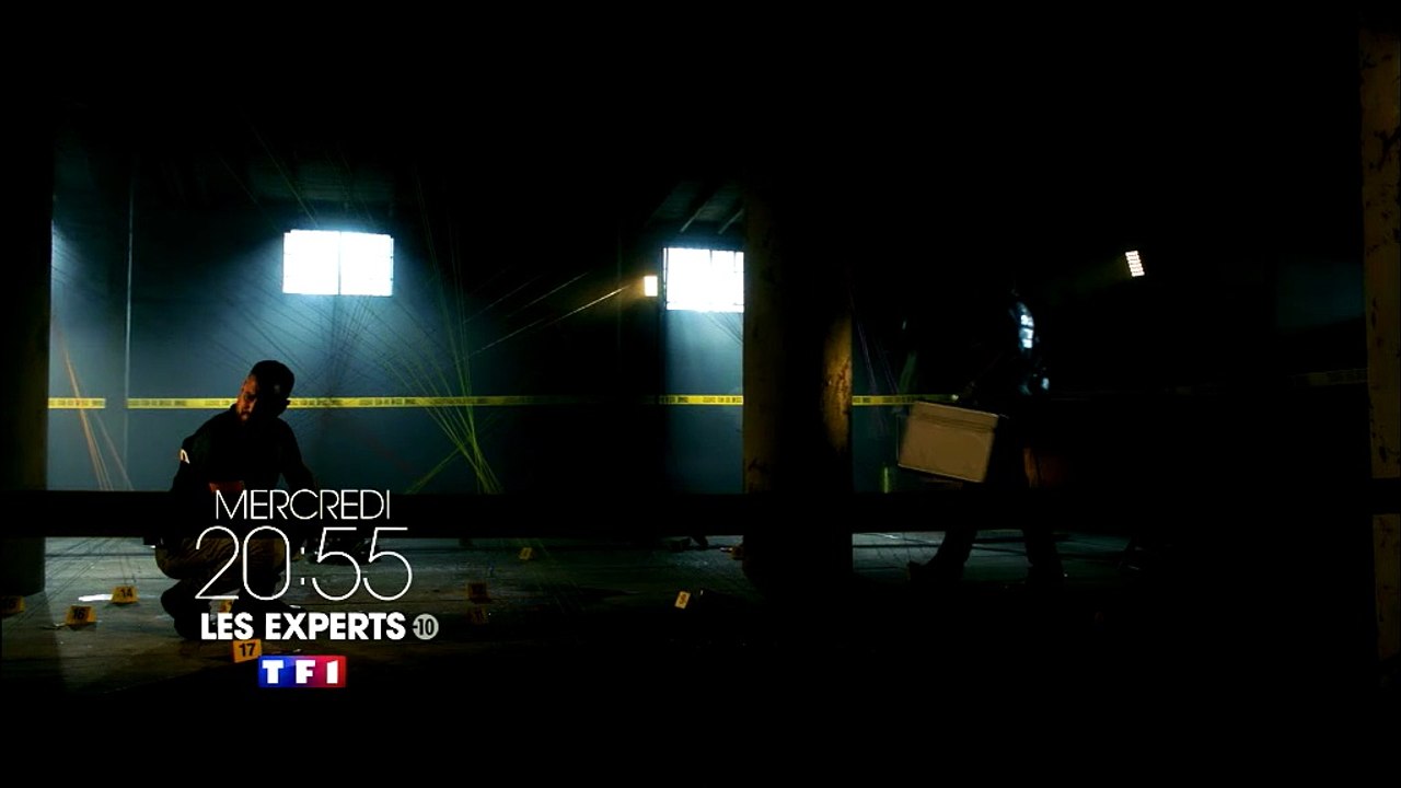Les experts