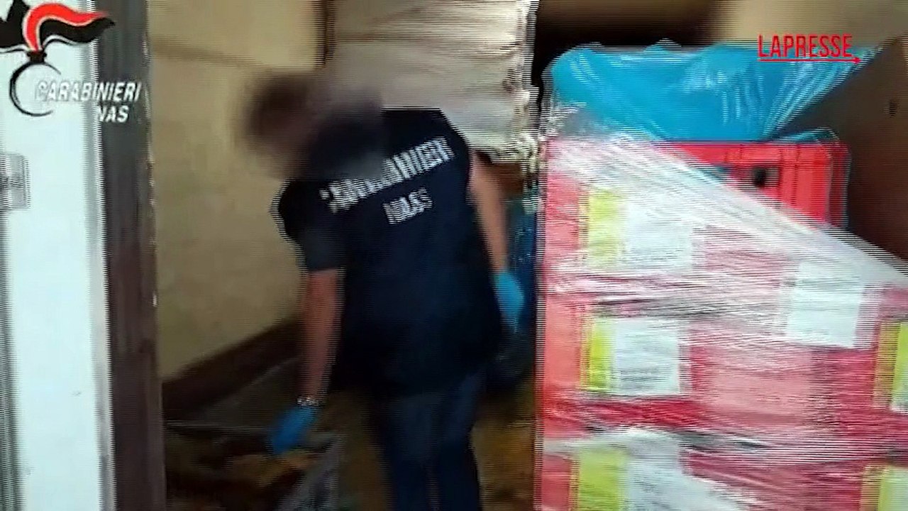Controlli NAS sul pet food: sequestri per 1,7 milioni