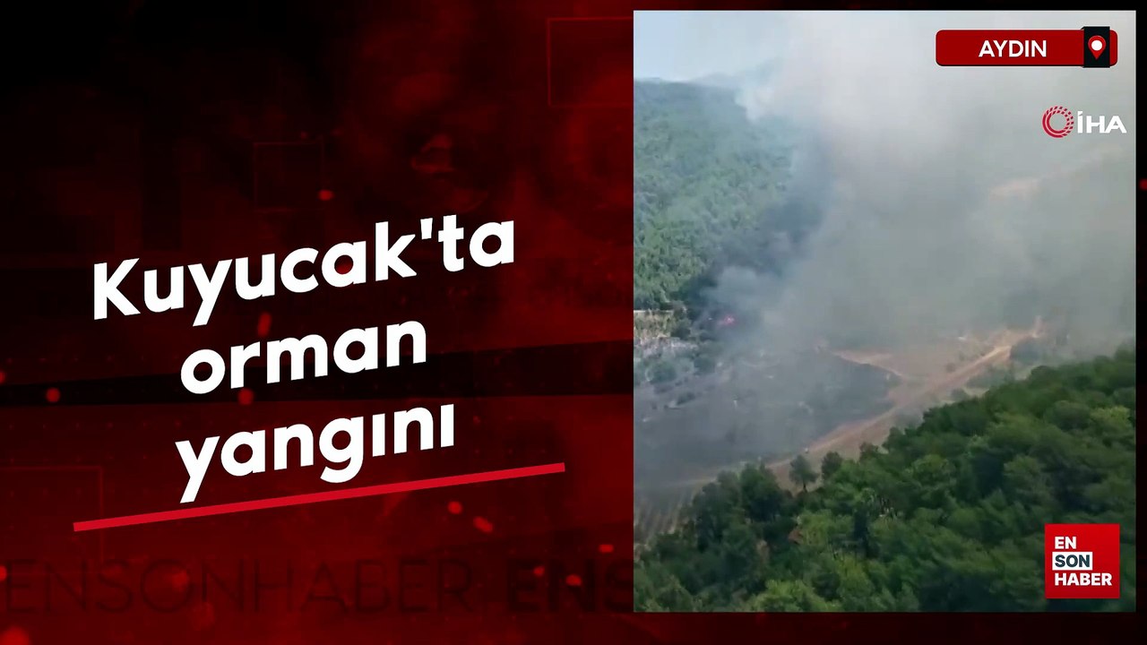 Aydın'da orman yangını