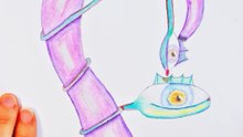 Pure Relaxation: Drawing a  tendril with Colored Pencils Part 2