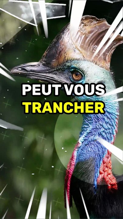 Cet oiseau peut vous trancher la jugulaire d'un coup de pied !