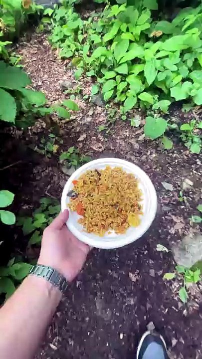 Donner une assiette de nourriture à un renard