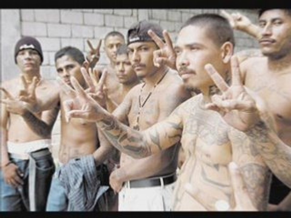 Ms13