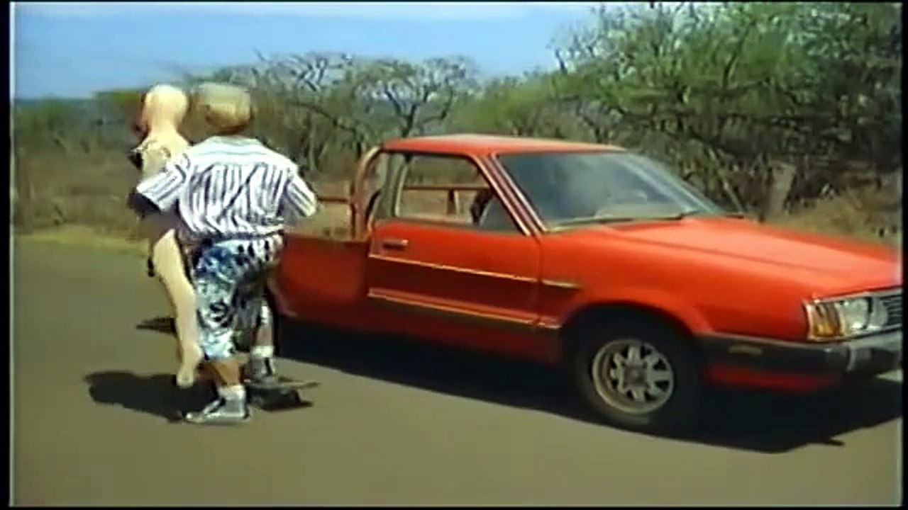 Hard Ticket to Hawaii Starring Dona Speir and Hope Marie Carlton