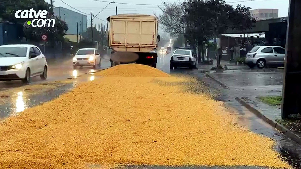 Carga de milho cai de caminhão e deixa trânsito lento na Avenida Tito Muffato