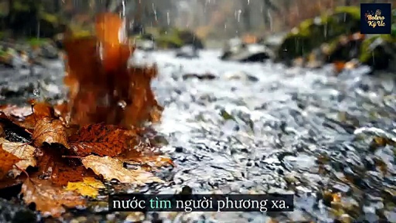 LIÊN KHÚC CHIỀU MƯA - BẾN ĐÒ CHIỀU MƯA - BÓNG MẸ CHIỀU MƯA