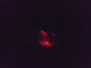 manu chao avec mon ptit jim