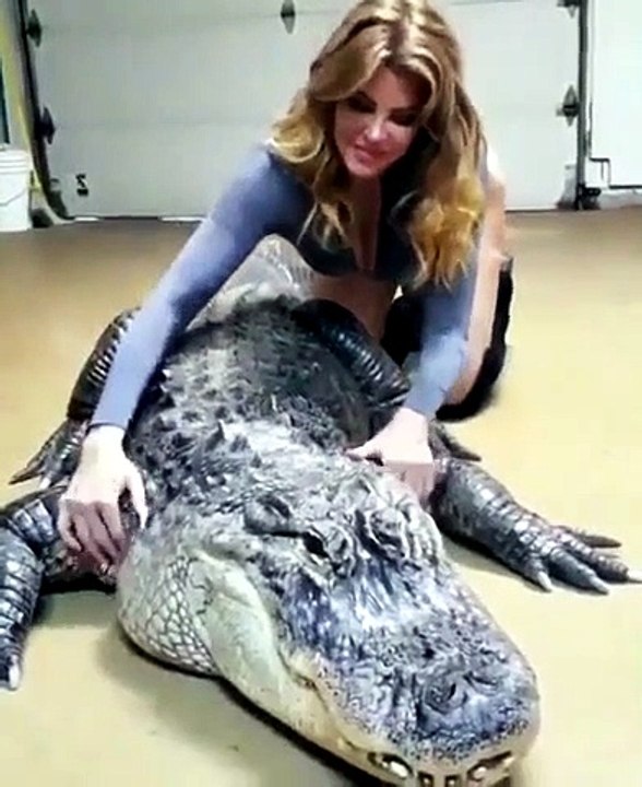 Faire des calins à un crocodile