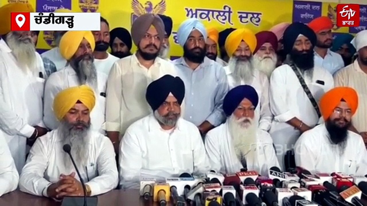 Waris Punjab De CM Face: ਕੀ ਪੰਜਾਬ ਦੀ ਸਿਆਸਤ ਵਿੱਚ ਉੱਭਰ ਰਿਹਾ ਹੈ ਨਵਾਂ ਸਿਆਸੀ ਧੂਰਾ ? 2027 ਤੋਂ ਪਹਿਲਾਂ ਵੱਡੇ ਸਵਾਲ