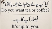 Sentence of the Day | It's up to you | Easy English Speaking Practice | English in Urdu