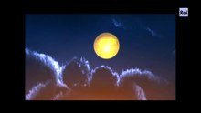Totò - Destinazione Piovarolo