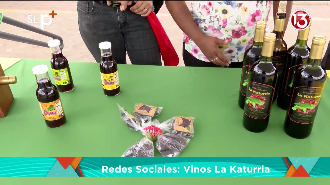 SLP Lunes 20 julio Sergio Vinos Katurria