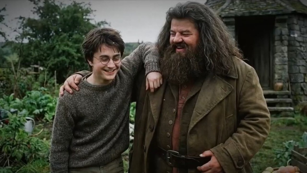 What If Harry Was Raised by Hagrid? I Raised with Gentle Hands