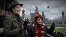 What If Harry Was Raised by McGonagall?