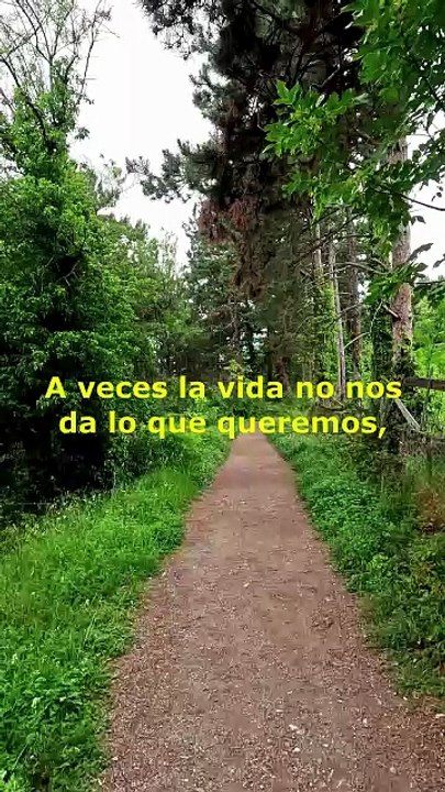 Continua avanzando