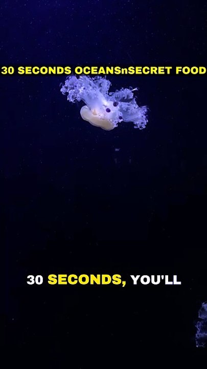 30 Seconds: Ocean's Secret Food! 🌊