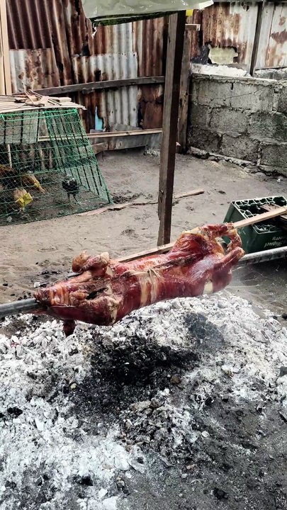 lechon