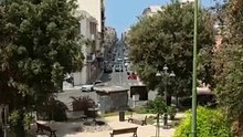Andria: un falco osserva la città da una grande antenna vicino a Palazzo di Città