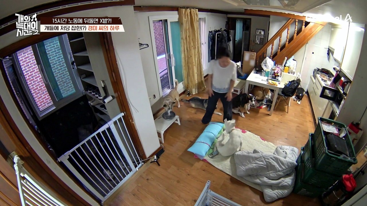 15시간 노동 후 뒤돌아보면 X밭?! 개들에 저당 잡힌 경미 씨의 하루