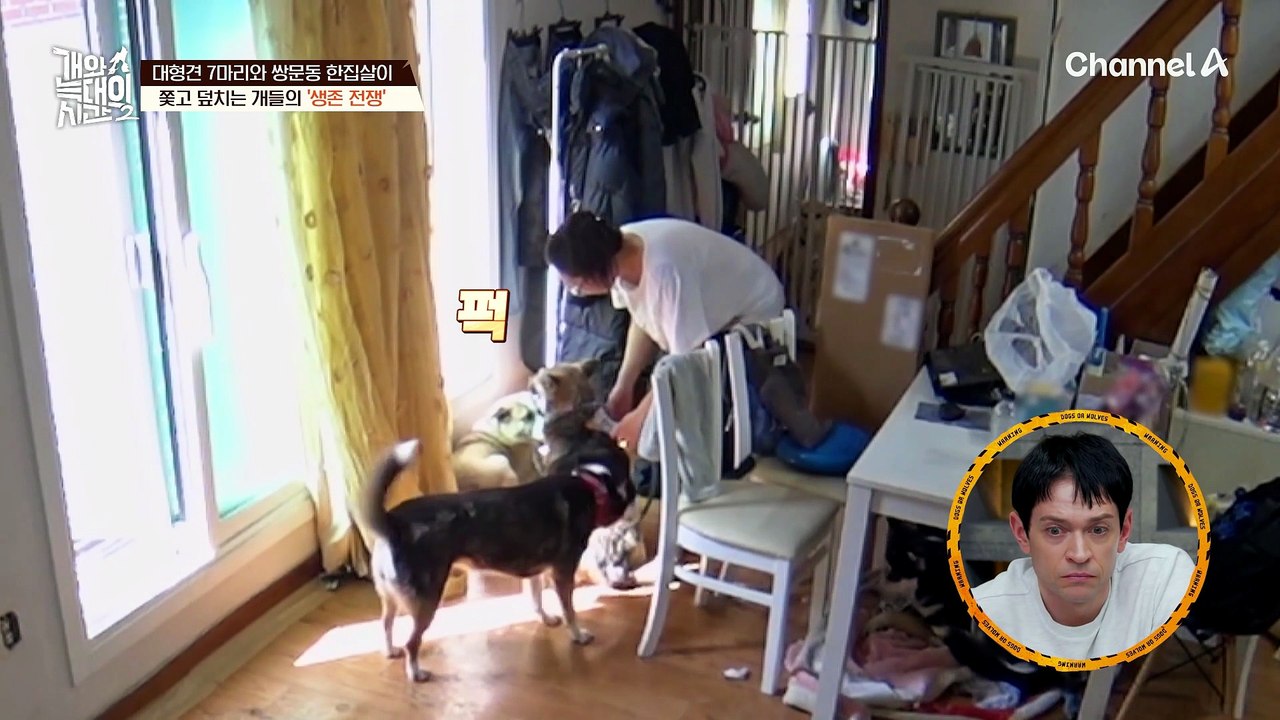 "웬만한 보호소보다 안 좋아요" 강하게 통제하는 보호자에게 쉽게 입을 떼지 못하는 강 훈련사