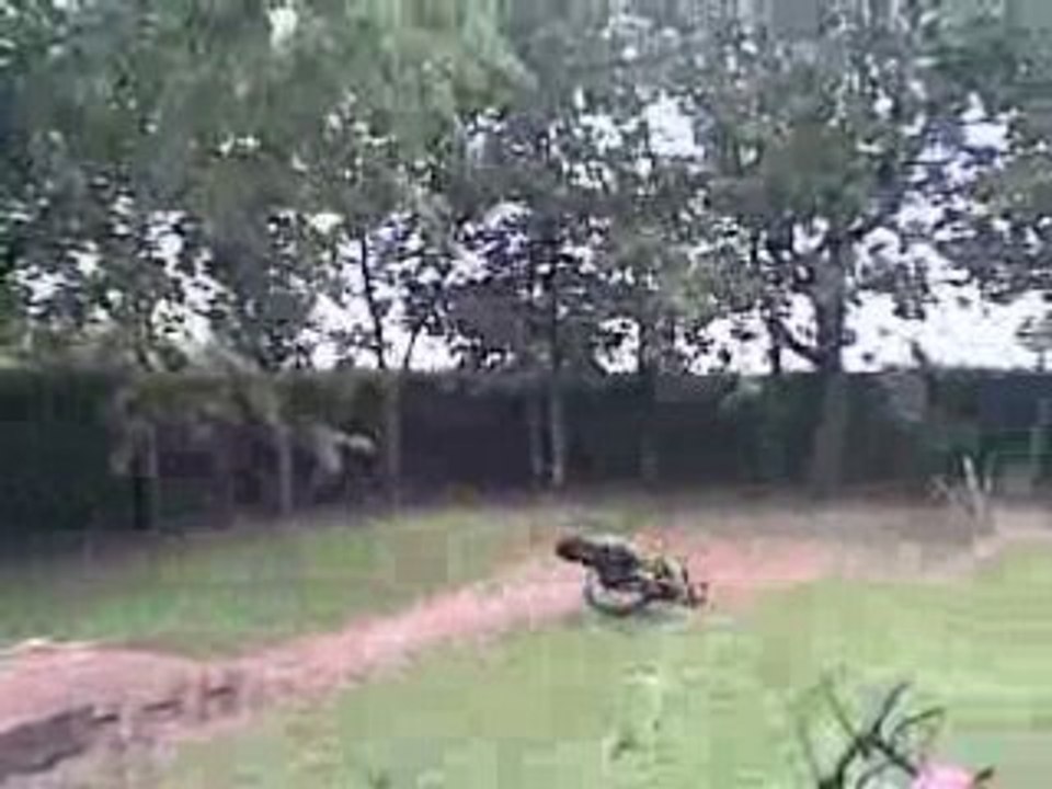 la brele qui saute touteseul