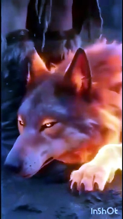 The Lycan Queen Will Rise - Hd Movie - FULL ✅ | Full Short Drama | English Sub 2026 [Full Movie] [Full Movie] [Full Movie]